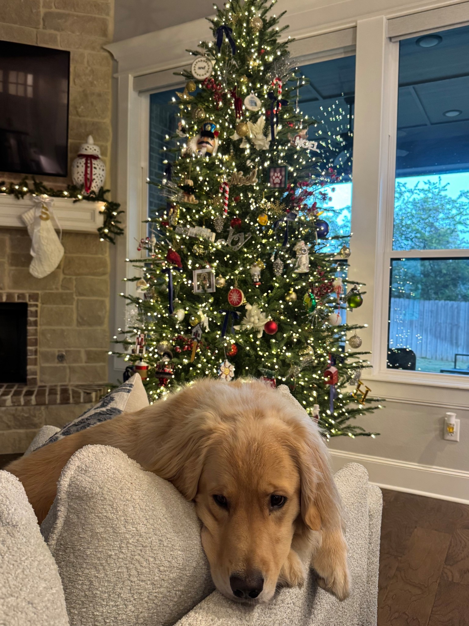 my christmas tree!!!!! 

#LTKCyberWeek #LTKHoliday #LTKHome