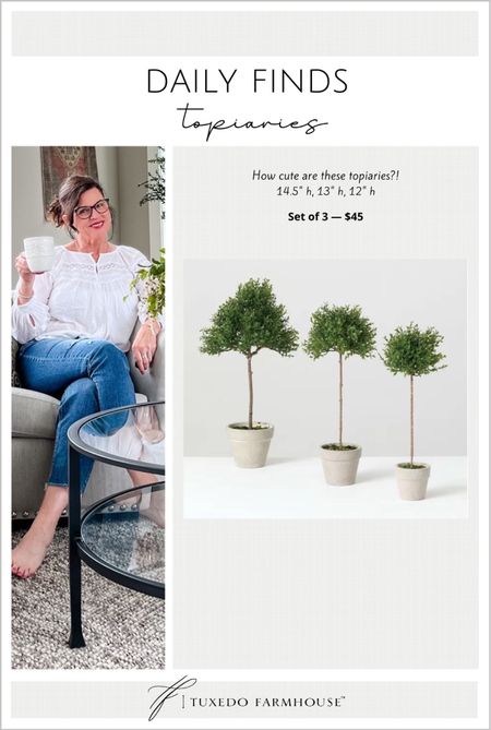How cute is this topiary set? Group them on a counter or table or split them up  

#LTKsalealert #LTKhome #LTKfindsunder50