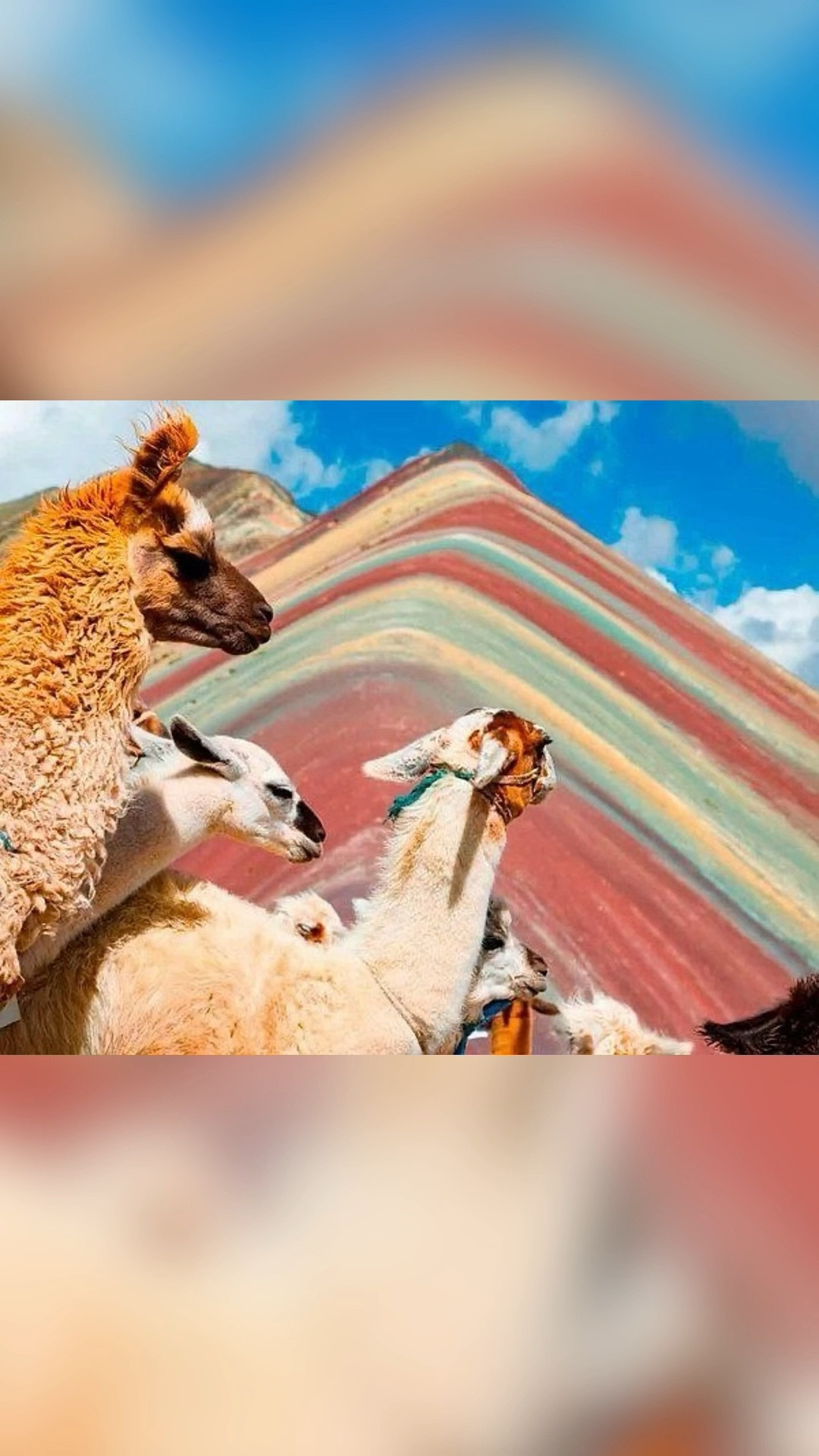 A journey through the Andes, wrapped in color, myth, and mountain air.
Traveling by train from Cusco to Machu Picchu offers sweeping views, sacred landscapes,
and a timeless approach to one of the world’s most extraordinary wonders.
An unforgettable route for the traveler who craves beauty in motion. ✨

Curated by Jet Set LatAM.


#LTKHoliday #LTKTravel #LTKCyberWeek