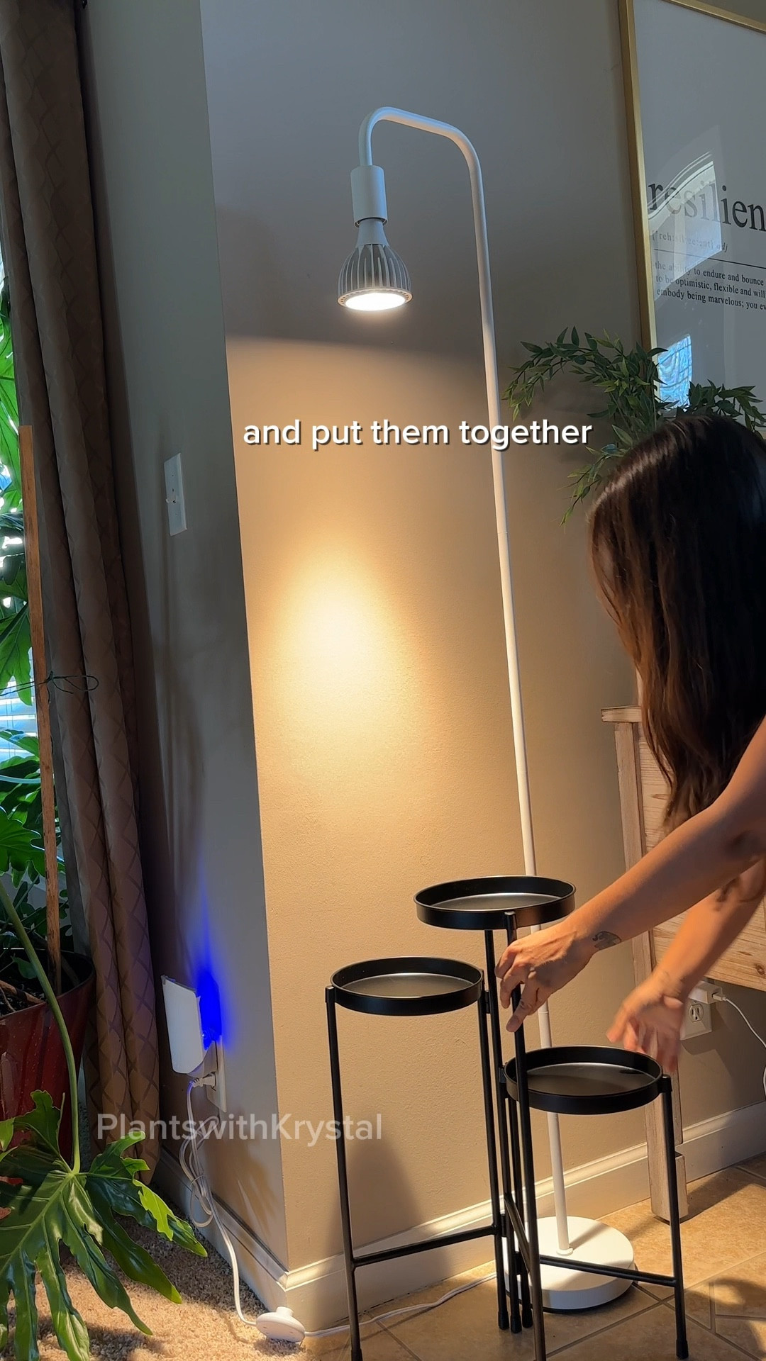 Plant grow light setup. Included some alternatives to the bulbs and stand that I also have and like 

#LTKHome #LTKStyleTip