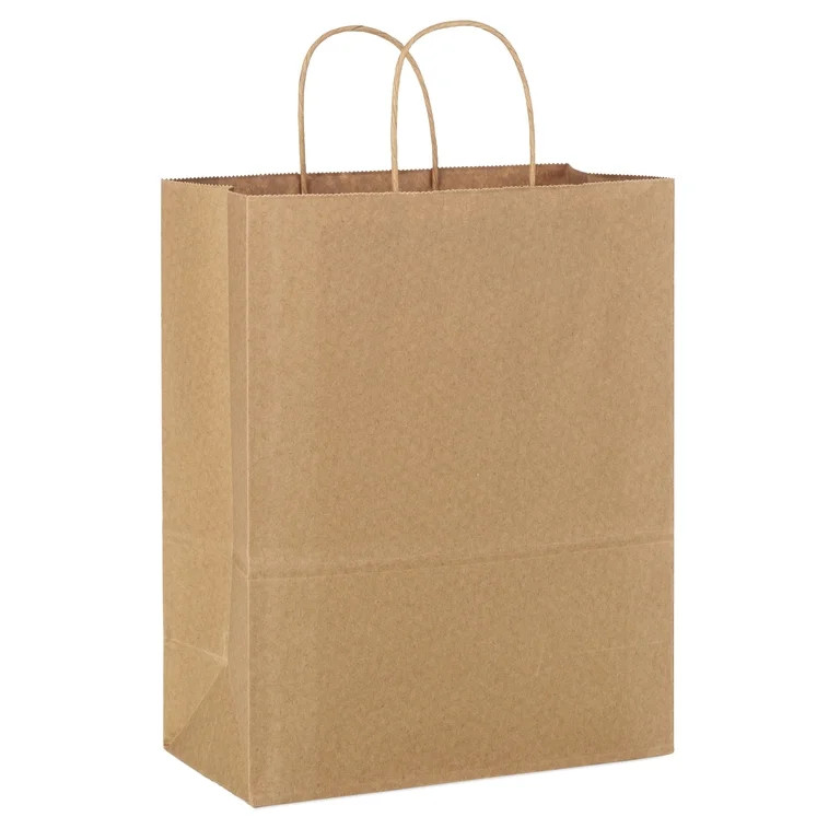 Hallmark Large Gift Bag (Solid Brown Kraft Paper) | Walmart (US)