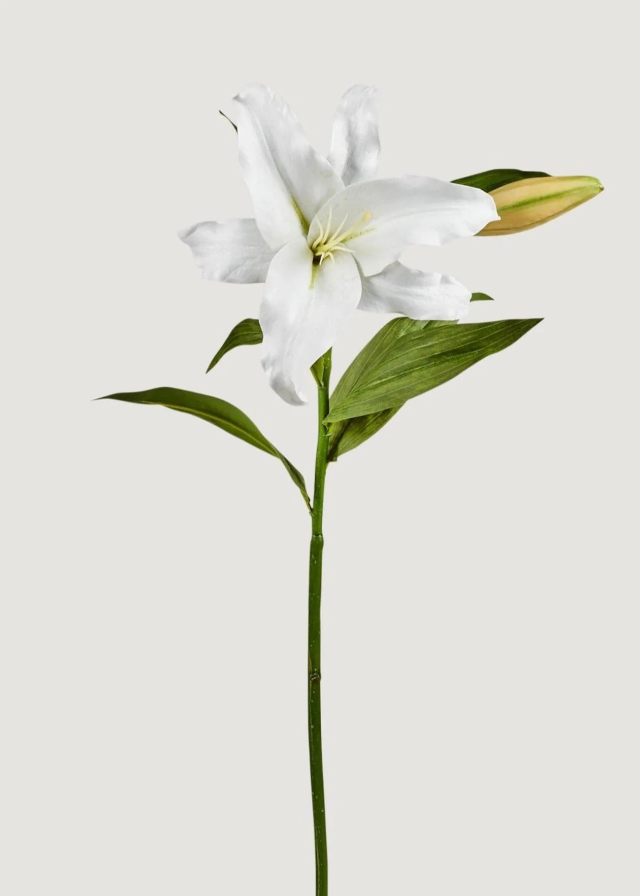 White Lily | Realistic Faux Flowers | Afloral.com | Afloral