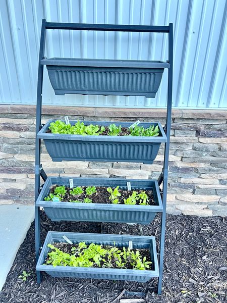 This four tier planter is awesome for lettuce, herbs or flowers! 

#LTKSeasonal #LTKhome