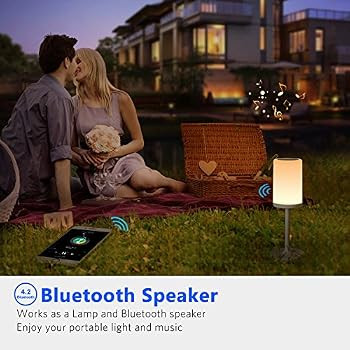 Marrado Bedside Lamp Bluetooth Speaker lamp | Color Changing LED Mood Light | Dimmable Touch Smar... | Amazon (US)