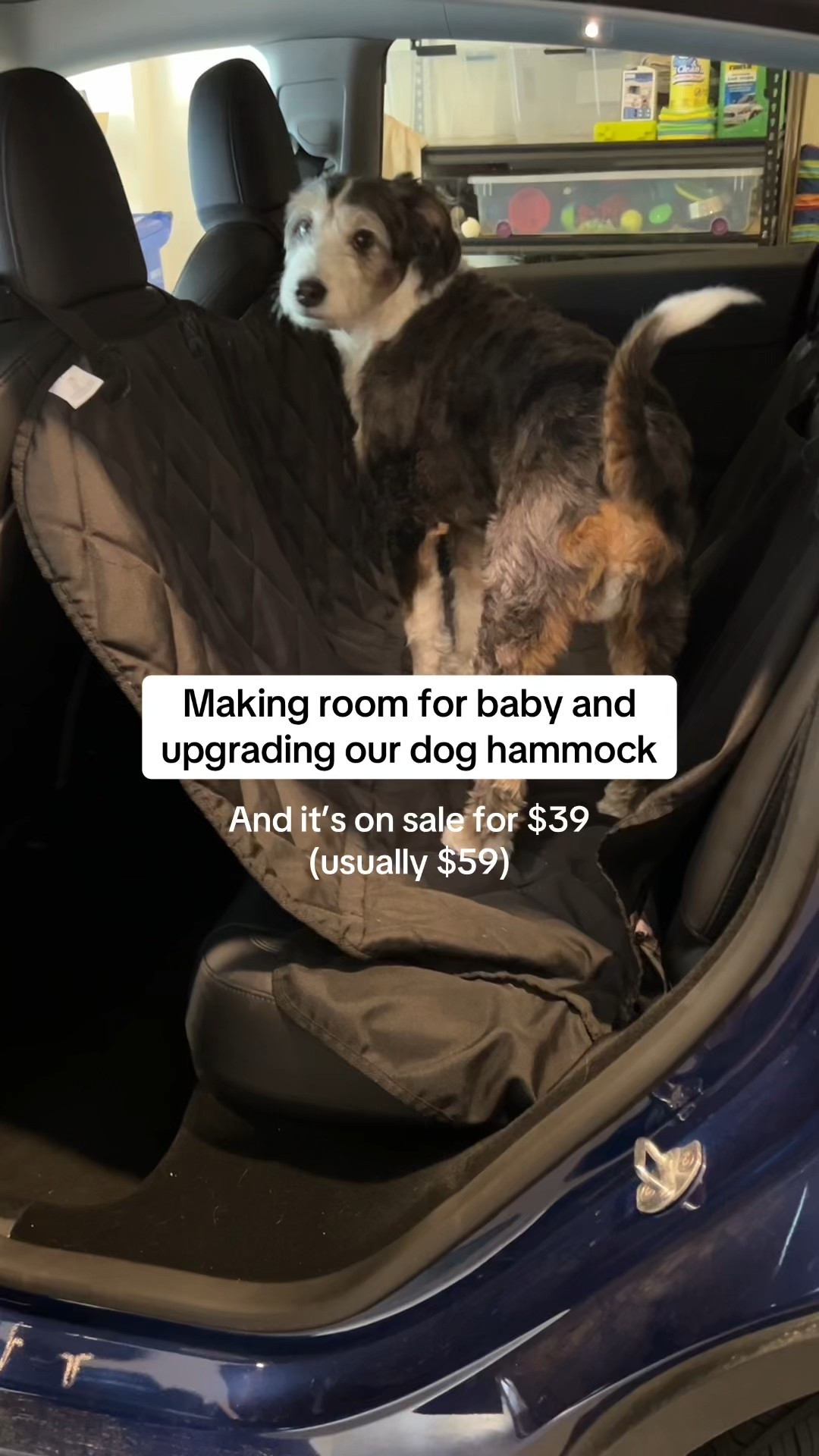 Currently on sale!! I haven’t seen the price drop this low in a minute so snag it while it’s on sale. We love how much space it leaves for baby while keeping our dog safe! #dogandbaby #amazonfinds #amazonmusthaves #doghammock #pregnant 