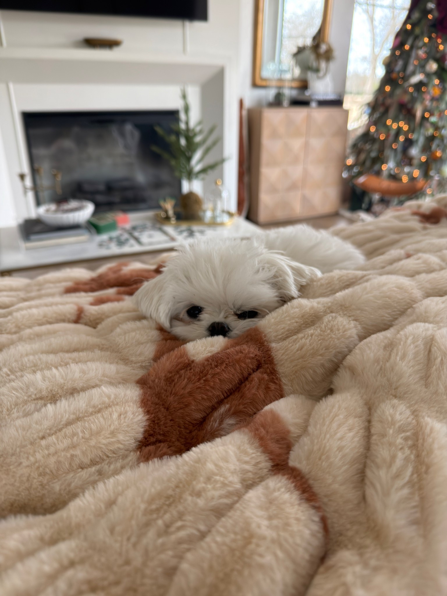 Life-changing softness, the Lola Blanket is a must have 

#LTKselfcare #LTKOver40