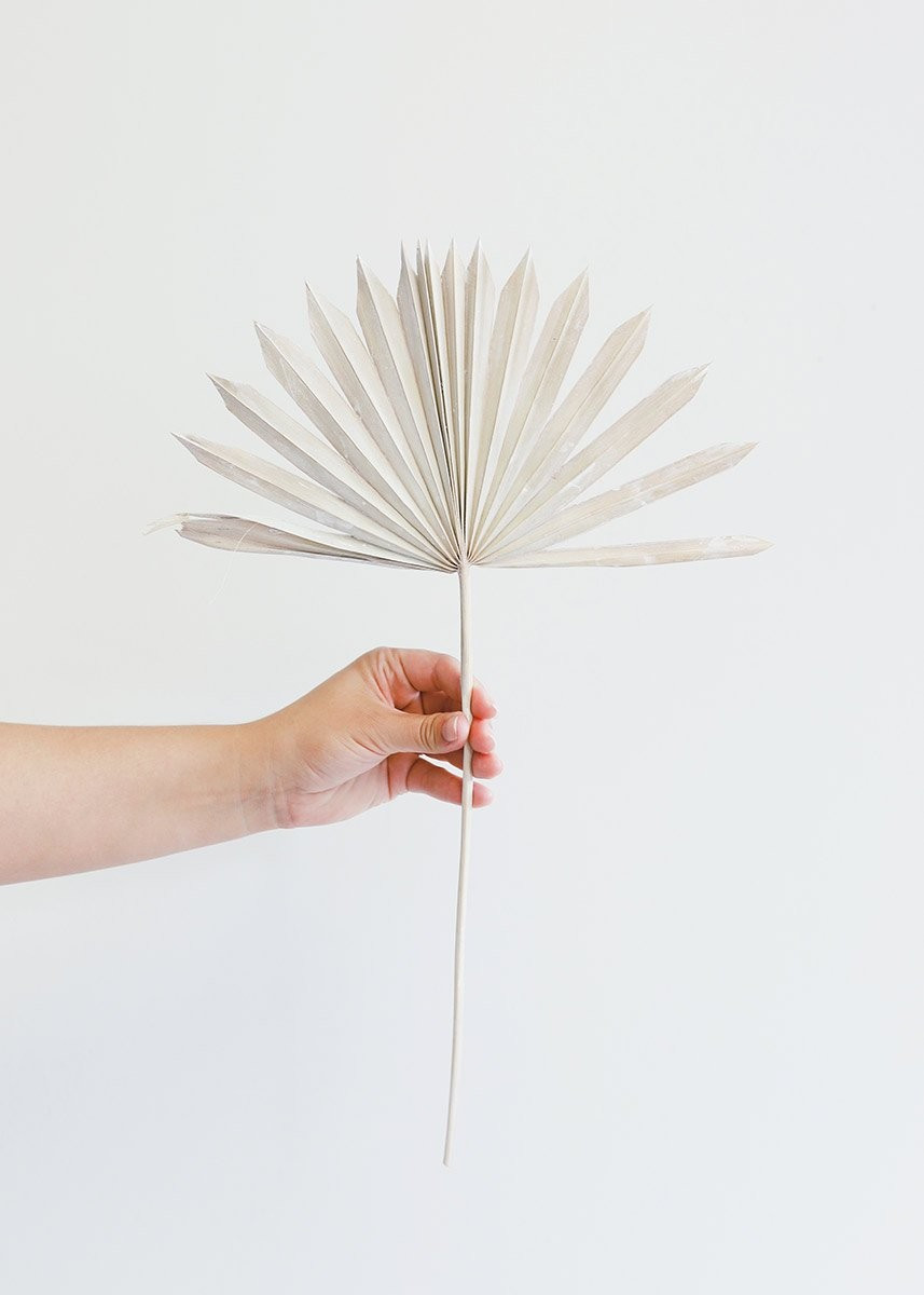 Pack of 5 - Whitewashed Natural Sun Palms | Afloral (US)