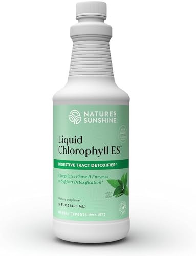 Nature's Sunshine Liquid Chlorophyll Extra Strength - Immunity Support, Detox & Cleanse, Chlorophyll Liquid Drops with Spearmint Oil, Natural Energy Boost, Internal Deodorant - 16 Fl Oz | Amazon (US)