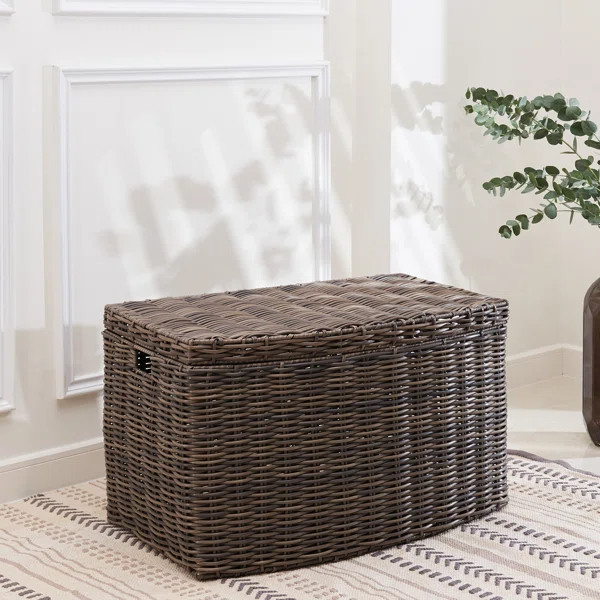 Adda Wicker Trunk | Wayfair North America