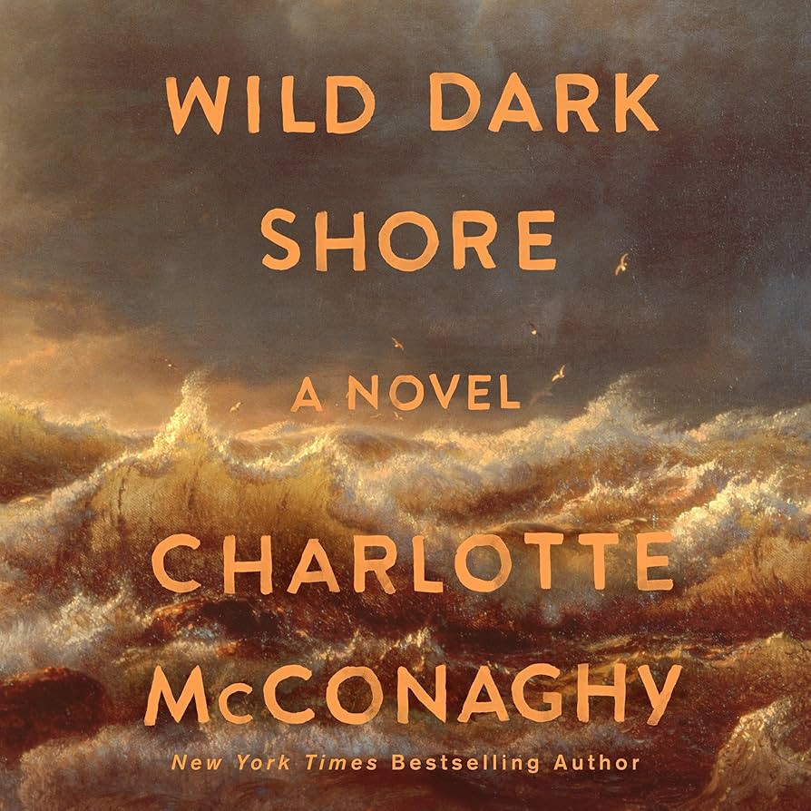 Wild Dark Shore: A Novel | Amazon (US)