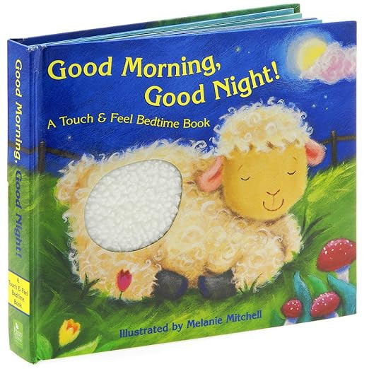 Good Morning Good Night      Board book – January 1, 2003 | Amazon (US)