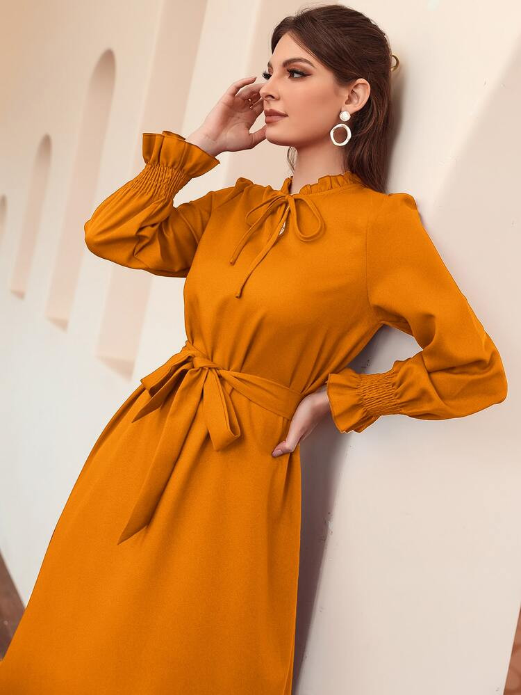 Frill Tie Neck Flounce Sleeve Belted Dress | SHEIN