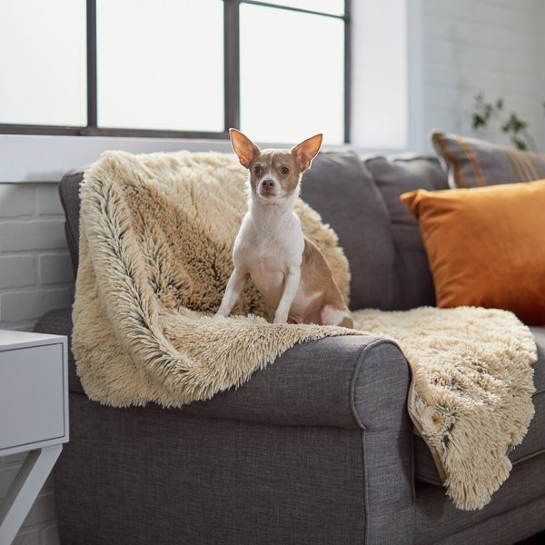 Frisco Long Faux Fur Cat & Dog Throw Blanket | Chewy.com