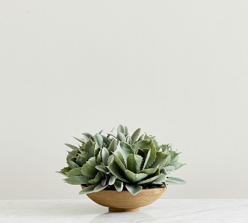 Faux Composed Succulent Arrangement | Pottery Barn (US)