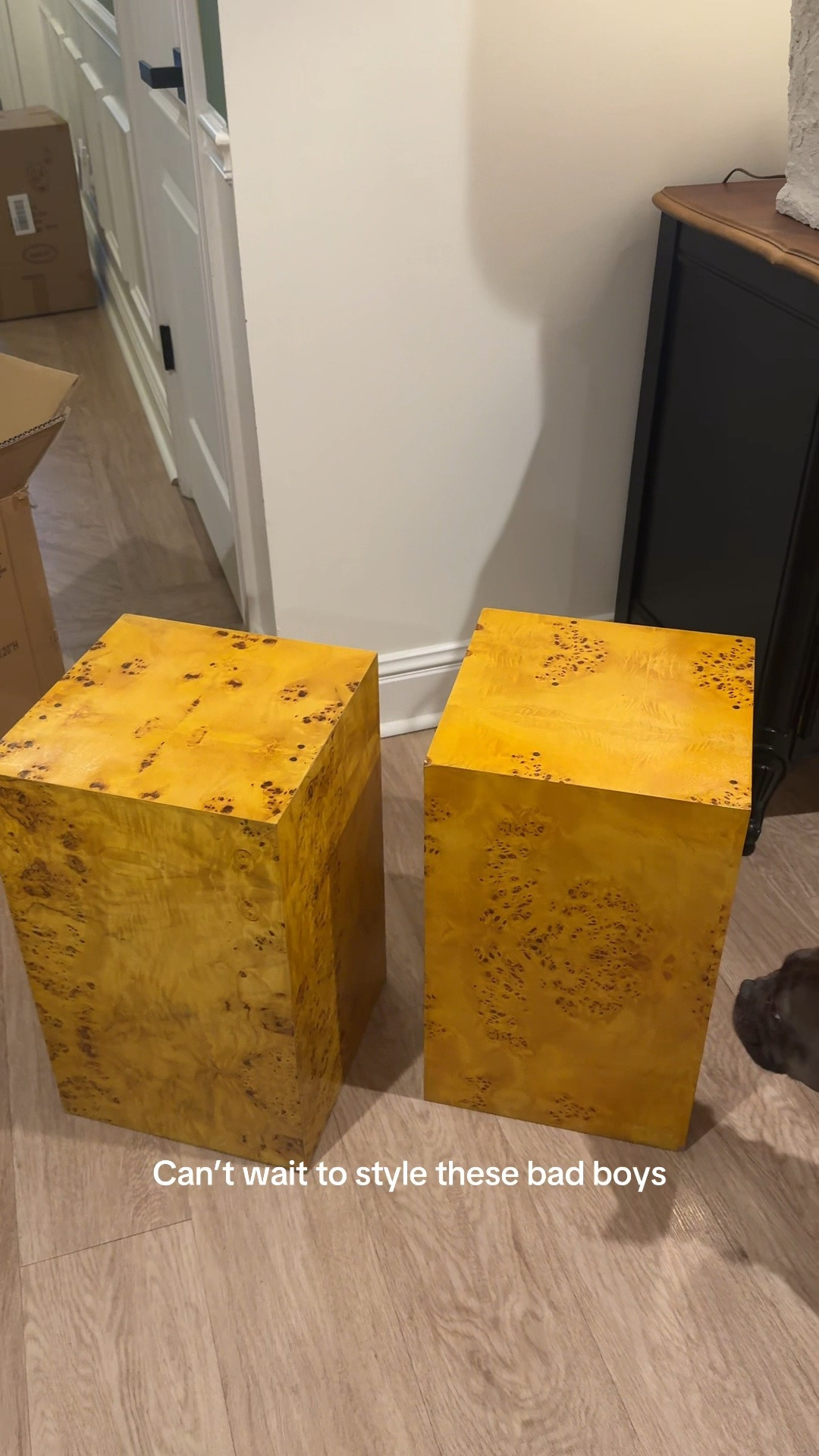 Tjmaxx find! Faux burlwood plinths

#LTKHome