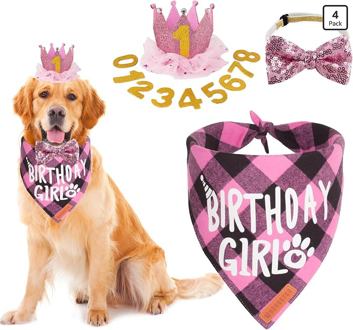 ADOGGYGO Dog Birthday Party Supplies, Multi Size Offered, Birthday Girl Dog Bandana, Pink Party H... | Amazon (US)