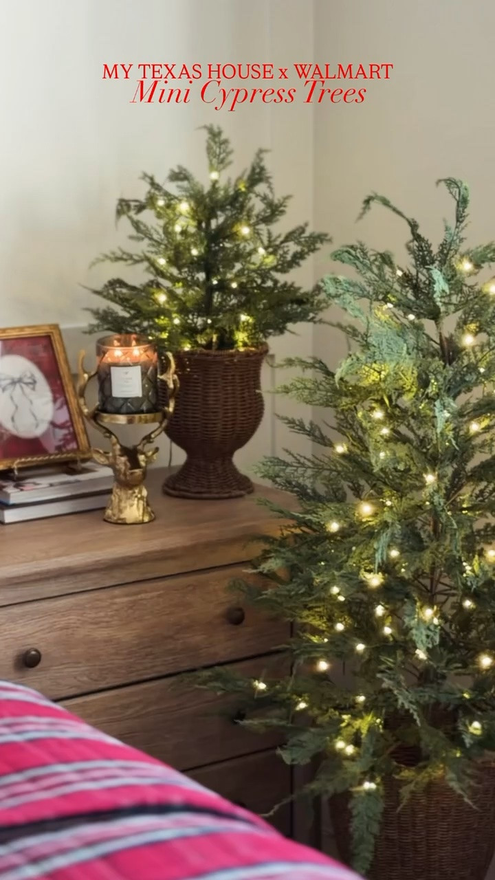 Our cypress is back and in every size!! All the way down to 2 ft!

#LTKSeasonal #LTKHome