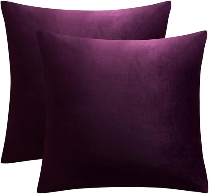 JUSPURBET Eggplant Purple Decorative Velvet Throw Pillow Covers 20x20 Inches Set of 2,Luxury Soli... | Amazon (US)