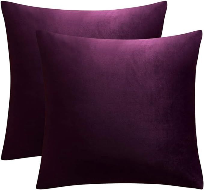 JUSPURBET Eggplant Purple Decorative Velvet Throw Pillow Covers 20x20 Inches Set of 2,Luxury Soli... | Amazon (US)