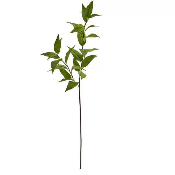 Artificial Laurel Leaf Spray (Set of 6) | Wayfair North America