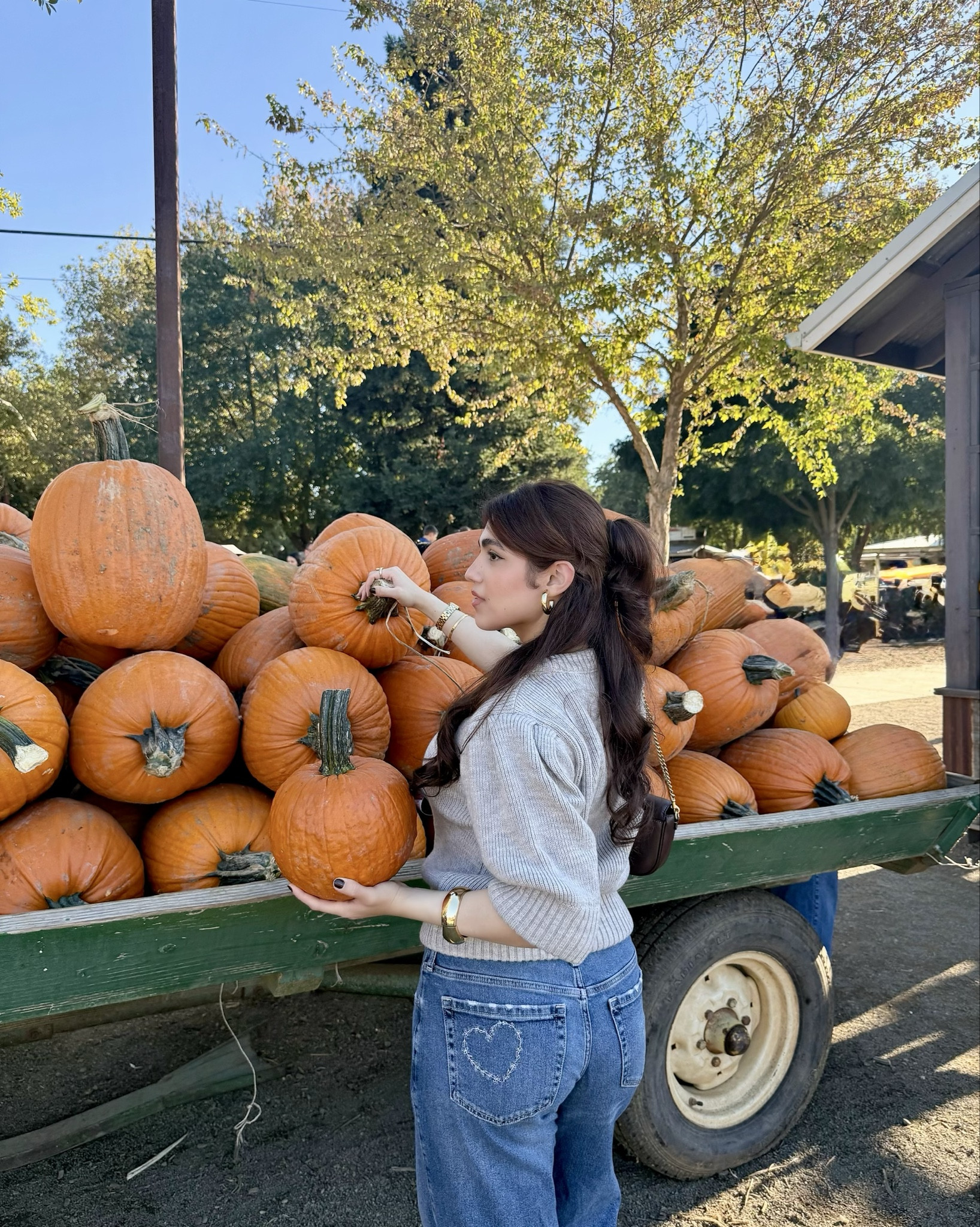 Pumpkin season 

#LTKHoliday #LTKPetite #LTKStyleTip