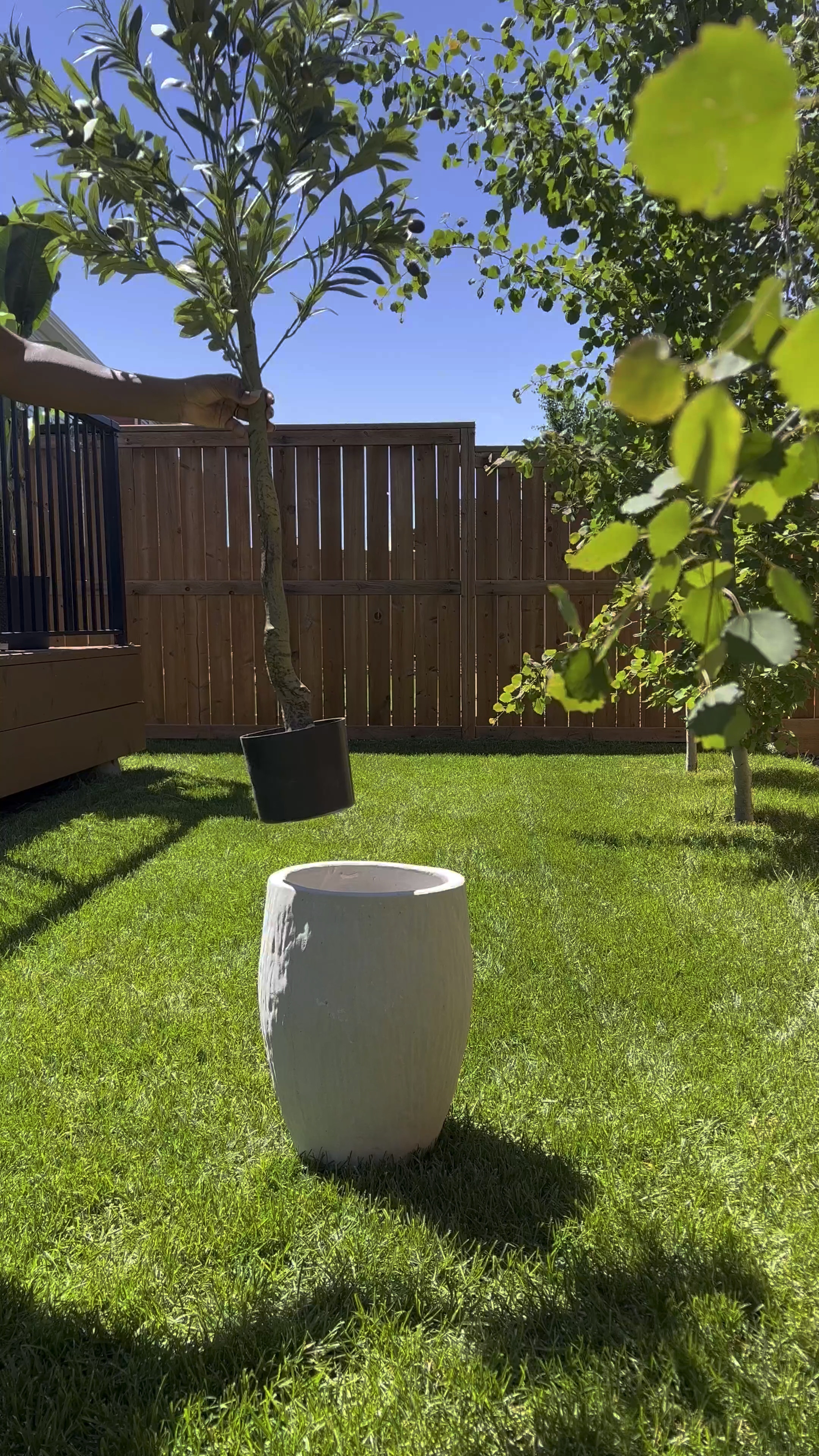 Hey friend 🥰
Still in love with this hack …
Shop the products below 🤎

#LTKVideo #LTKhome #LTKstyletip