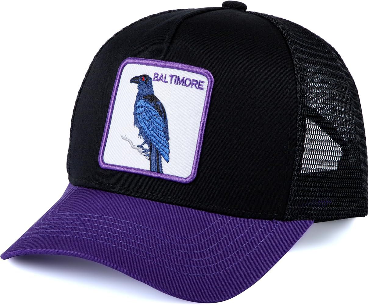 Football Fan Patch Trucker Hat - Netted Snapback Baseball Cap with Team Design for Men & Women | Amazon (US)