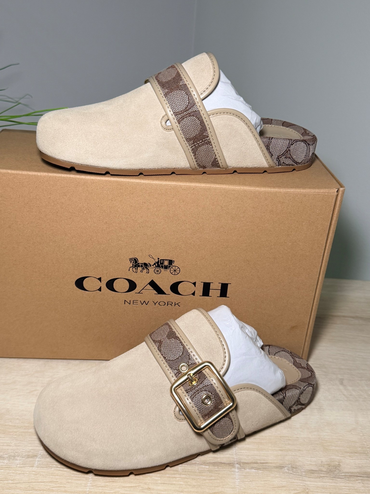 SPRING SHOE HAUL! COACH DID IT AGAIN! Cute & COMFORTABLE! The perfect Mom on the go shoe. @coach #Coach #style #fashion #beauty #momlife #OOTD @Macys @Dillards Inc. #makeup #midsize #spring 

#LTKSpringSale #LTKSaleAlert #LTKBeauty