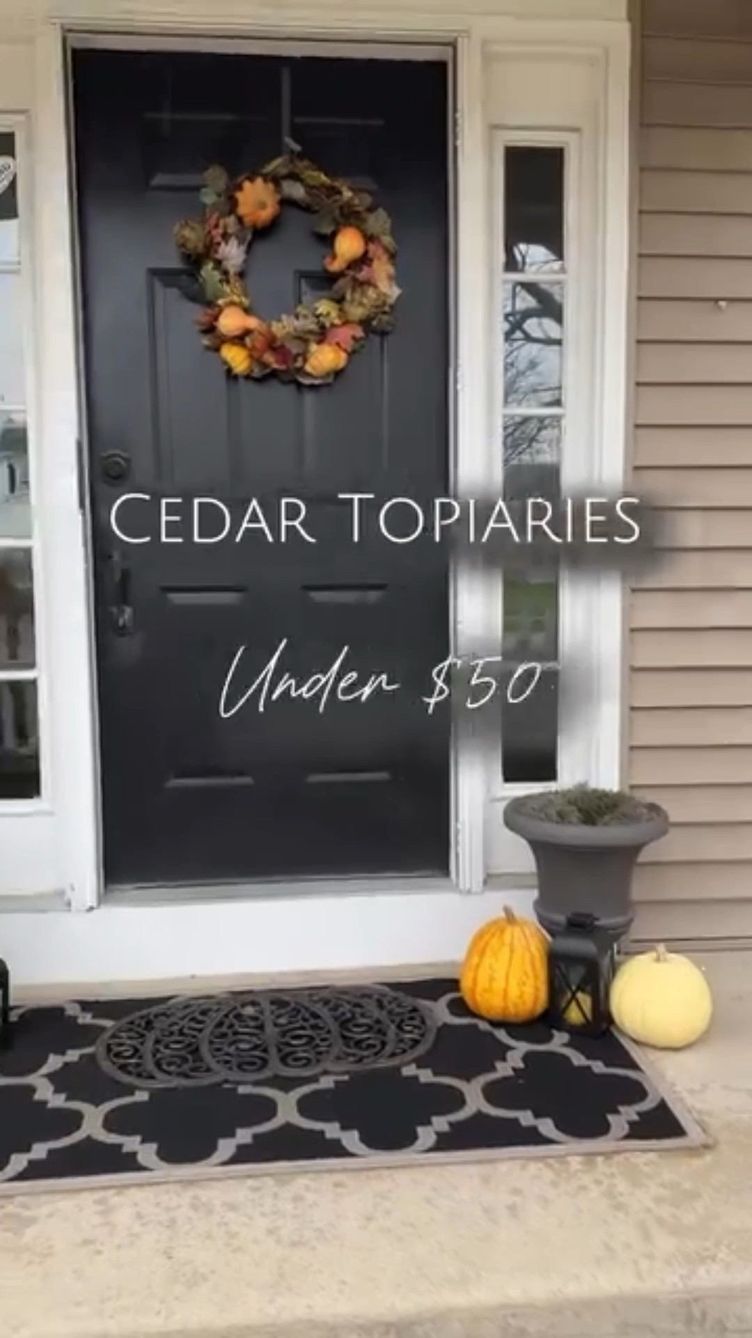 Walmart for the win with this affordable set of 3 feet faux cedar topiaries. I added them to planters but they do come in black pots. Within 10 minutes they were put together, fluffed and on the porch. No watering needed! 



#walmartfinds #labellrecommends #fauxtopiary #topiary #topiarytree #fauxplants #porchdecor #walmartdeals #affordablefinds 

Walmart outside decor
Faux topiaries 
Porch decor
Outside decor 
Cedar topiaries

#LTKHome #LTKFindsUnder50