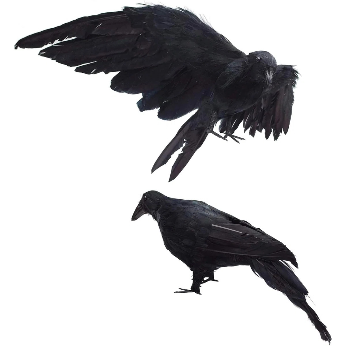 2-Pack Realistic Crows Lifesize Extra Large Handmade  Feathered Crow For Halloween Decorations Bi... | Wayfair North America