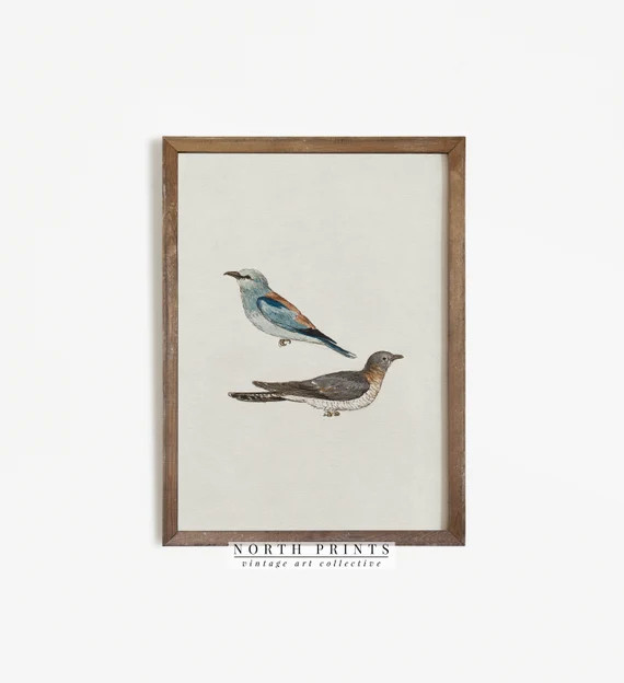 Vintage Bird Art  Minimalist Farmhouse Decor Watercolor | Etsy | Etsy (US)