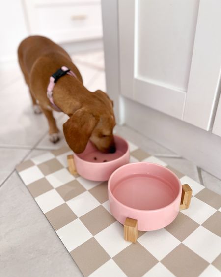 New dog bowls and mat for Honey 🐾 love the checkered mat and pink bowls together! 

Pet finds, cat bowls, puppy must-haves, home, pink finds, kitchen, amazon finds, dachshund, small dogs, fancythingsblog 

#LTKfindsunder50 #LTKhome #LTKfindsunder100