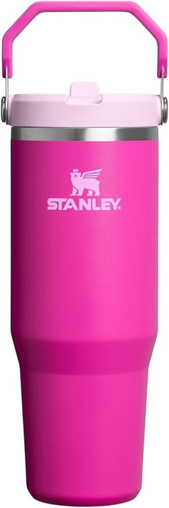 Stanley IceFlow Flip Straw Tumbler with Handle | Twist On Lid and Flip Up Straw | Leak Resistant ... | Amazon (US)