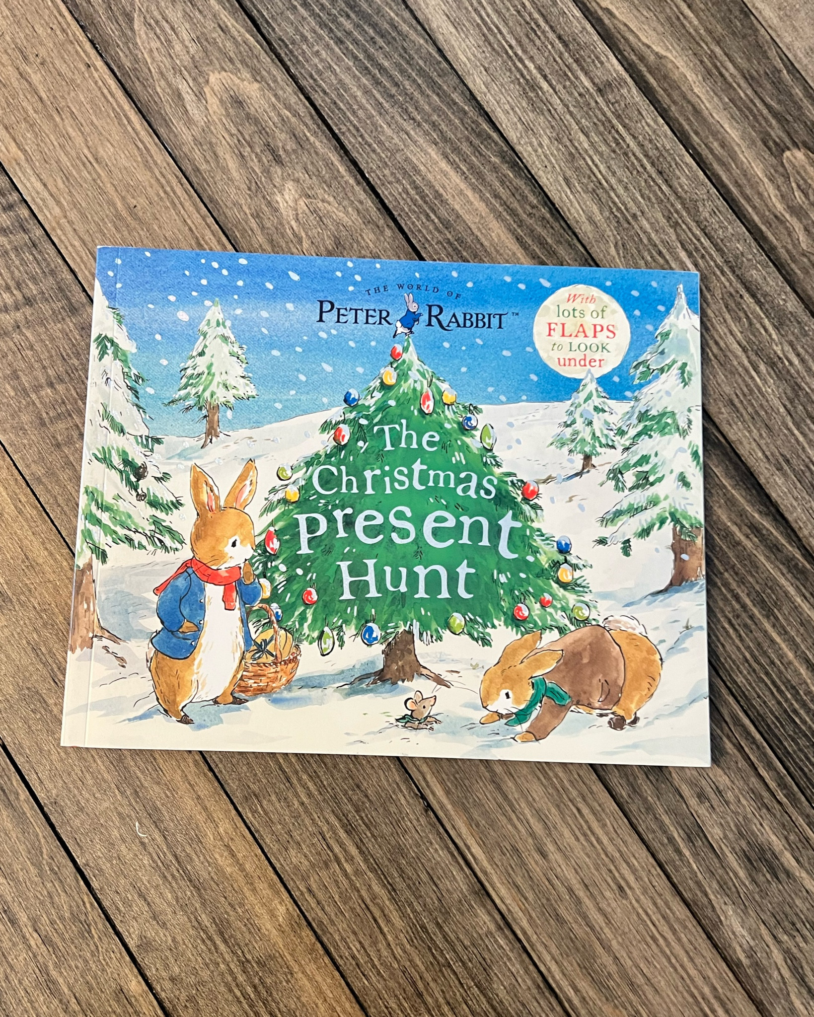 Advent book calendar #22 for the sweet boy  

#LTKFamily #LTKHoliday #LTKBaby