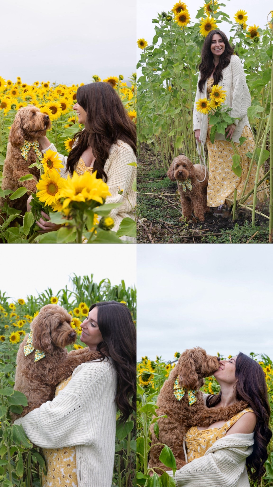 Sunflower field outfit idea 

#LTKSeasonal #LTKFindsUnder100