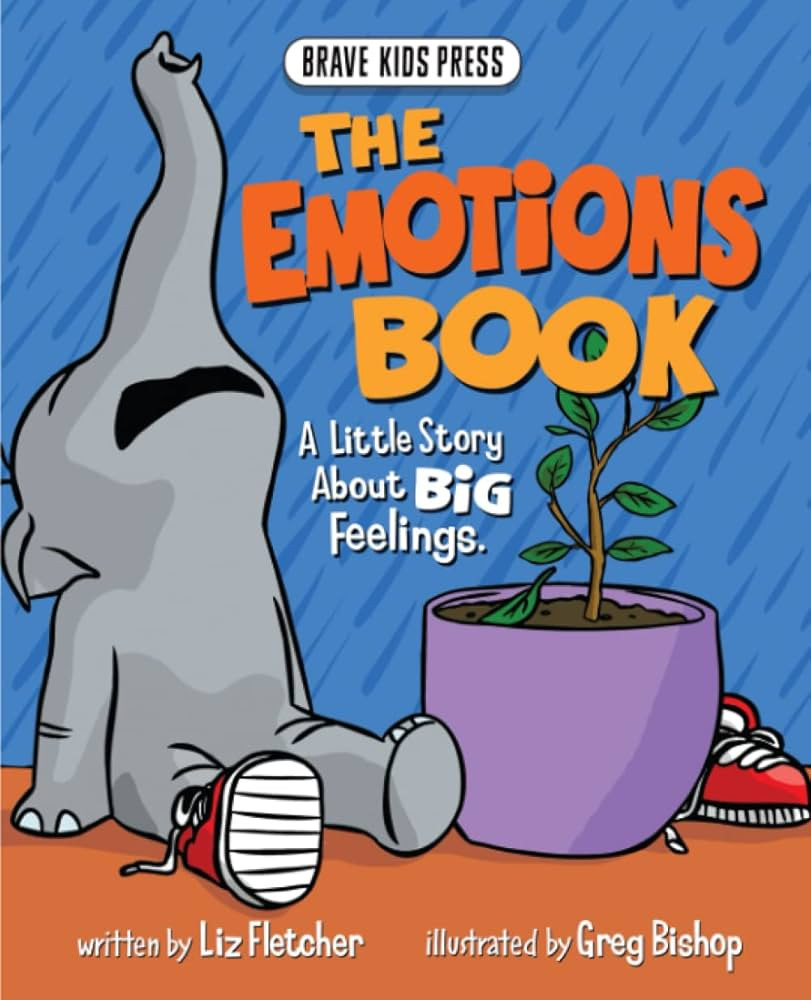 The Emotions Book: A Little Story About Big Emotions (Brave Kids Press) | Amazon (US)