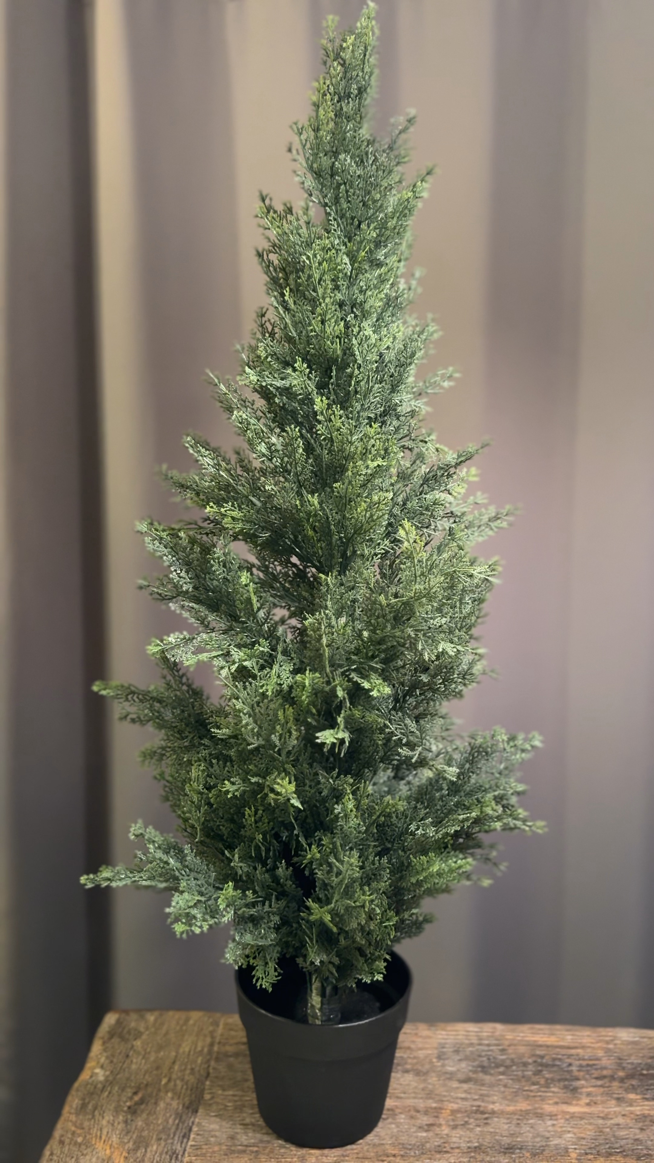 Cedar Topiaries by Walmart are perfect outdoors as porch decor or by your front door. They come in various sizes and are perfect if you need faux plants for a smaller space. 

faux outdoor topiaries 
artificial topiary trees for porch or front door 
faux plants outdoor artificial plants for porch decor 
trees for entryway 
artificial  topiary outdoor 
fake topiaries for front door decor maintenance-free outdoor greenery realistic artificial topiary trees

#LTKWatchNow #LTKHome #LTKFindsUnder100