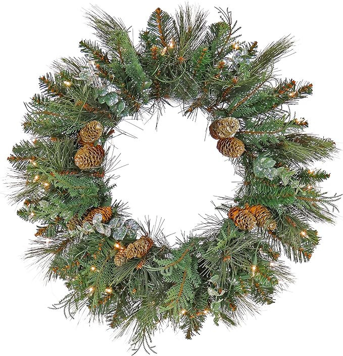 National Tree Company First Traditions Pre-Lit North Conway Christmas Wreath with Pinecones and F... | Amazon (US)