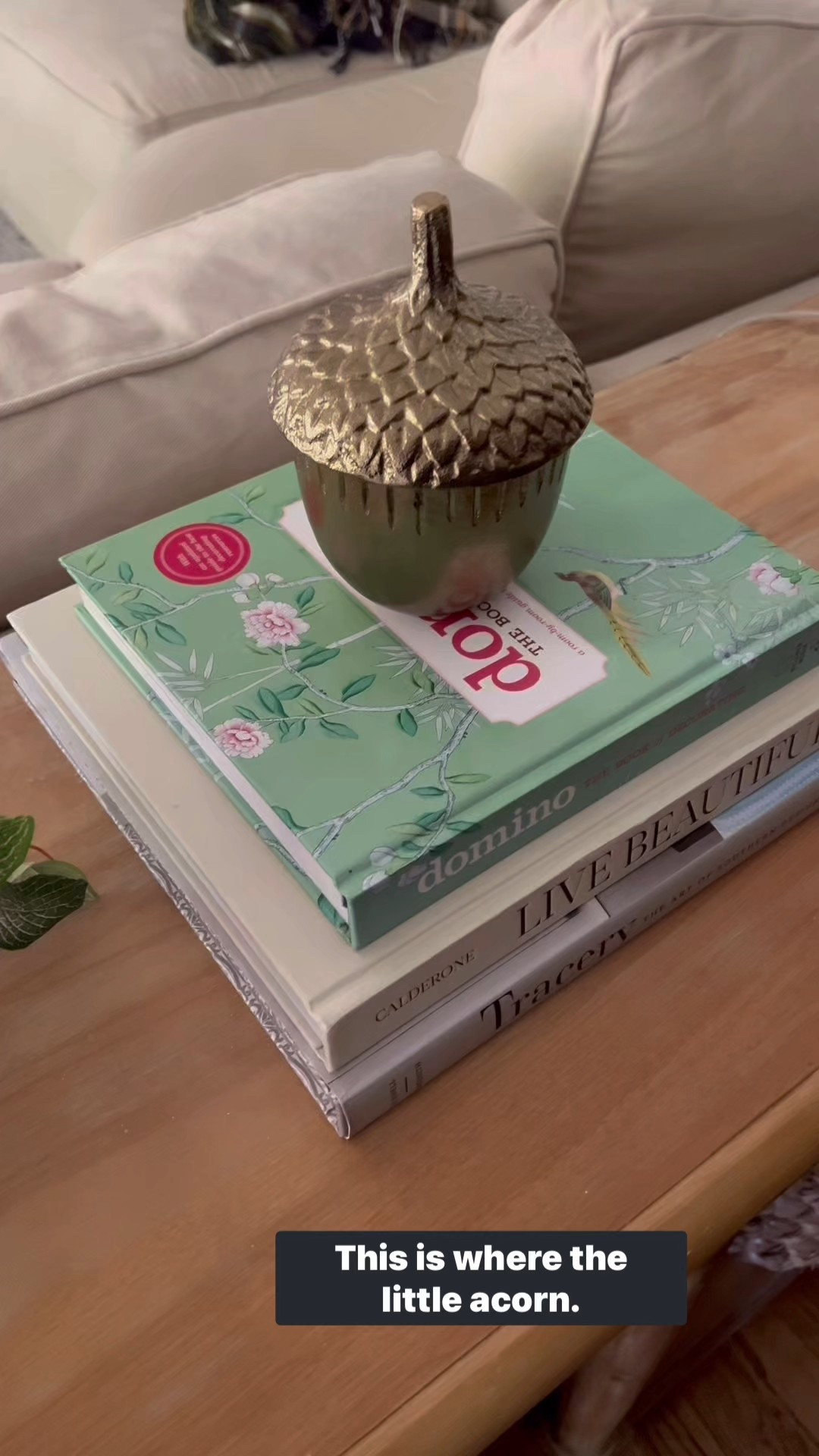 A few new fall decor items in my living room! 

#LTKHome #LTKSeasonal #LTKFindsUnder50