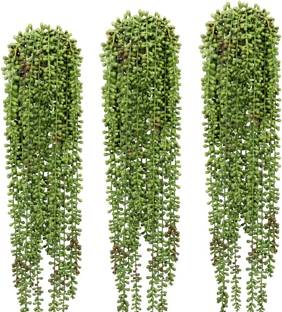 3 Pcs String of Pearls Plant Artificial Hanging Succulents Plants for Home Garden Decor (Pots Not... | Amazon (US)
