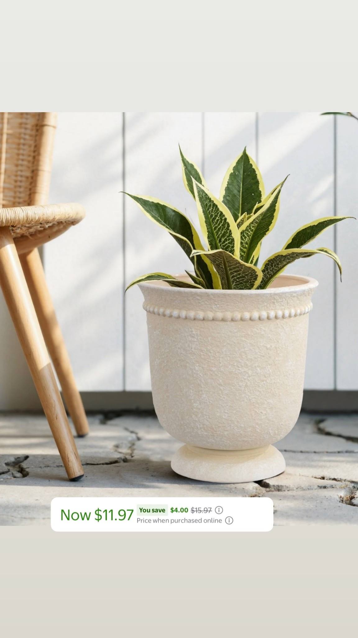 Can not believe the price on this planters from my Texas house! 

#LTKSaleAlert #LTKSeasonal #LTKHome