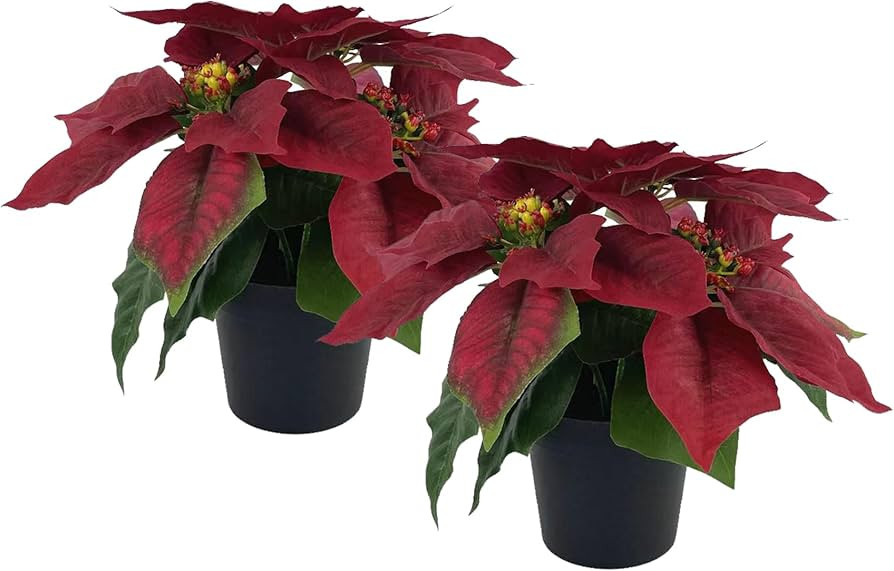 WOBUBU 2 Pack Poinsettia Plant Artificial 8 Inch Poinsettias Artificial Christmas Flowers in Pot ... | Amazon (US)
