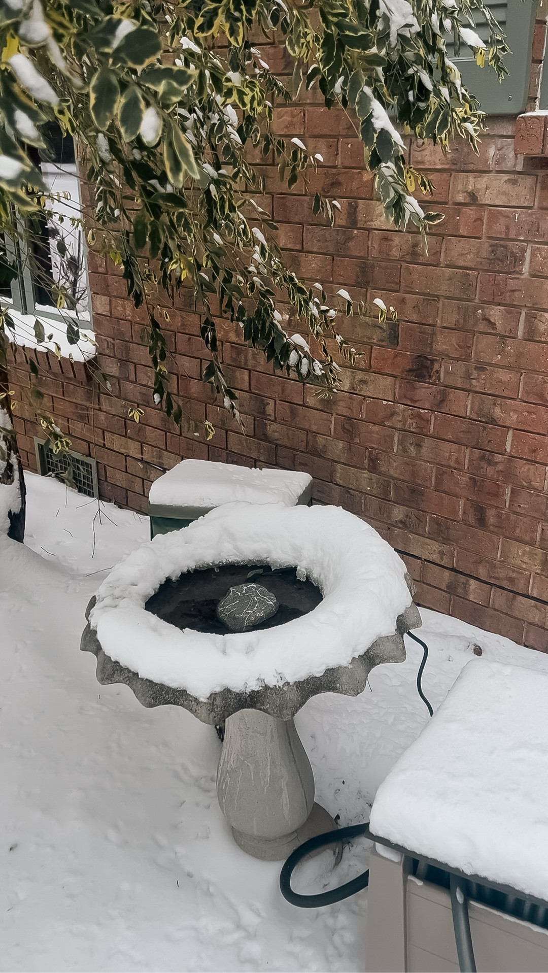 The bird bath stone that works! Currently sitting at -3 windchill. #ltkhome #ltkoutdoor #ltkhomedesign