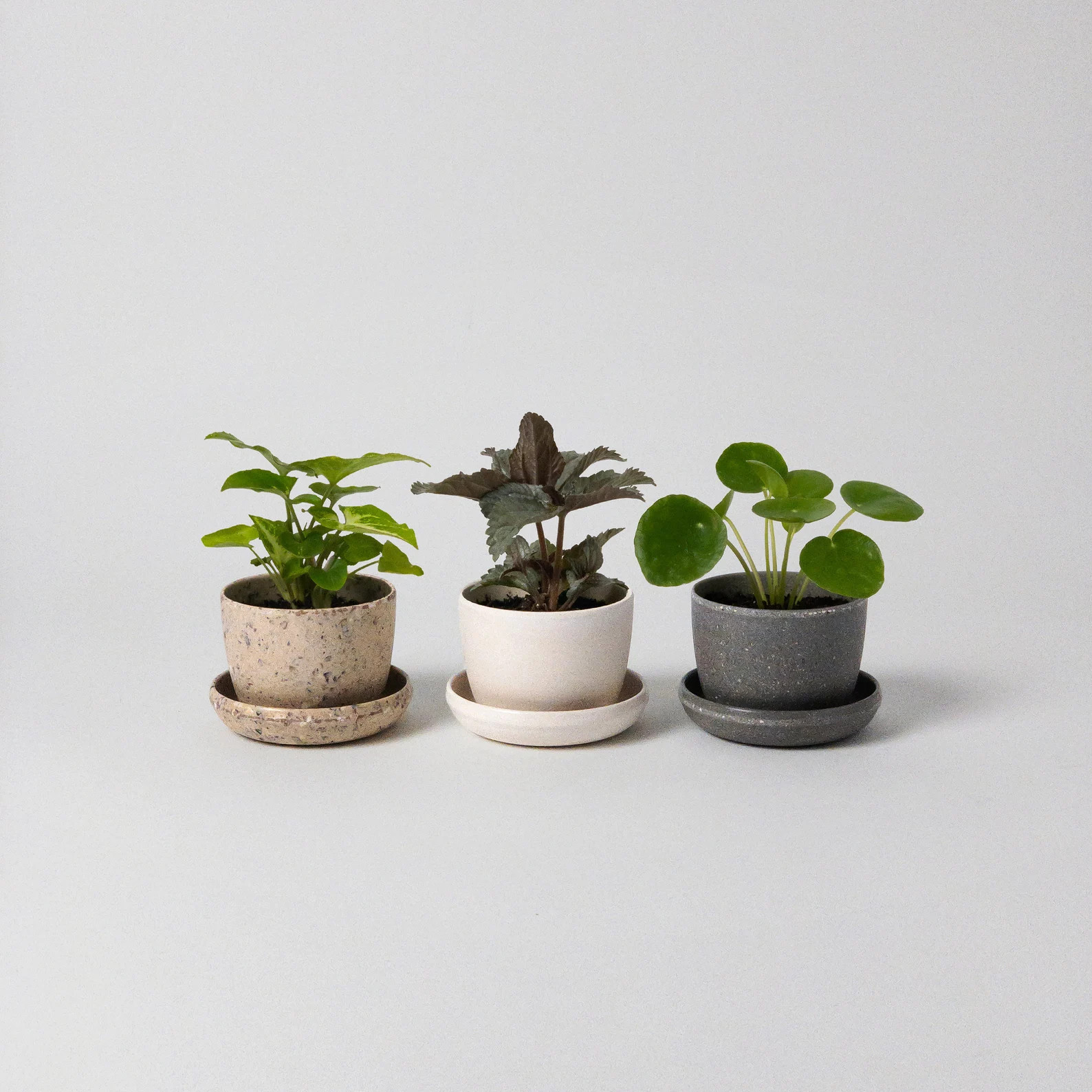 Harmony 7" Planters | Indoor Small Succulent Planters | Planter with Saucer | Houseplant Flower P... | Etsy (Global)