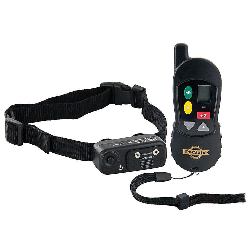PetSafe® Little Dog Remote Training Collar | PetSmart