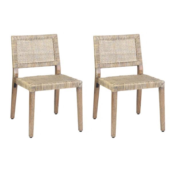 Alani Dining Chair (Set of 2) | Wayfair North America