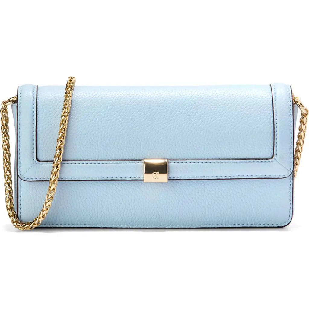 Cole Haan Daniella Leather Wallet on a Chain in Skyway at Nordstrom Rack | Nordstrom Rack