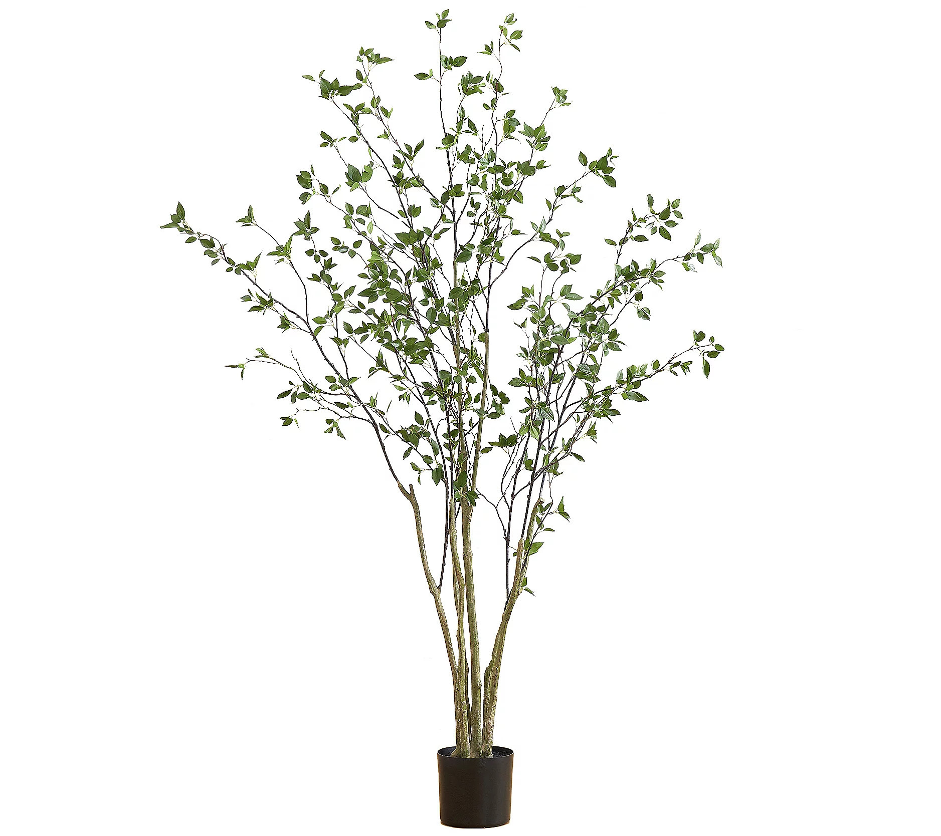 Nearly Natural 7' Minimalist Citrus Tree | QVC