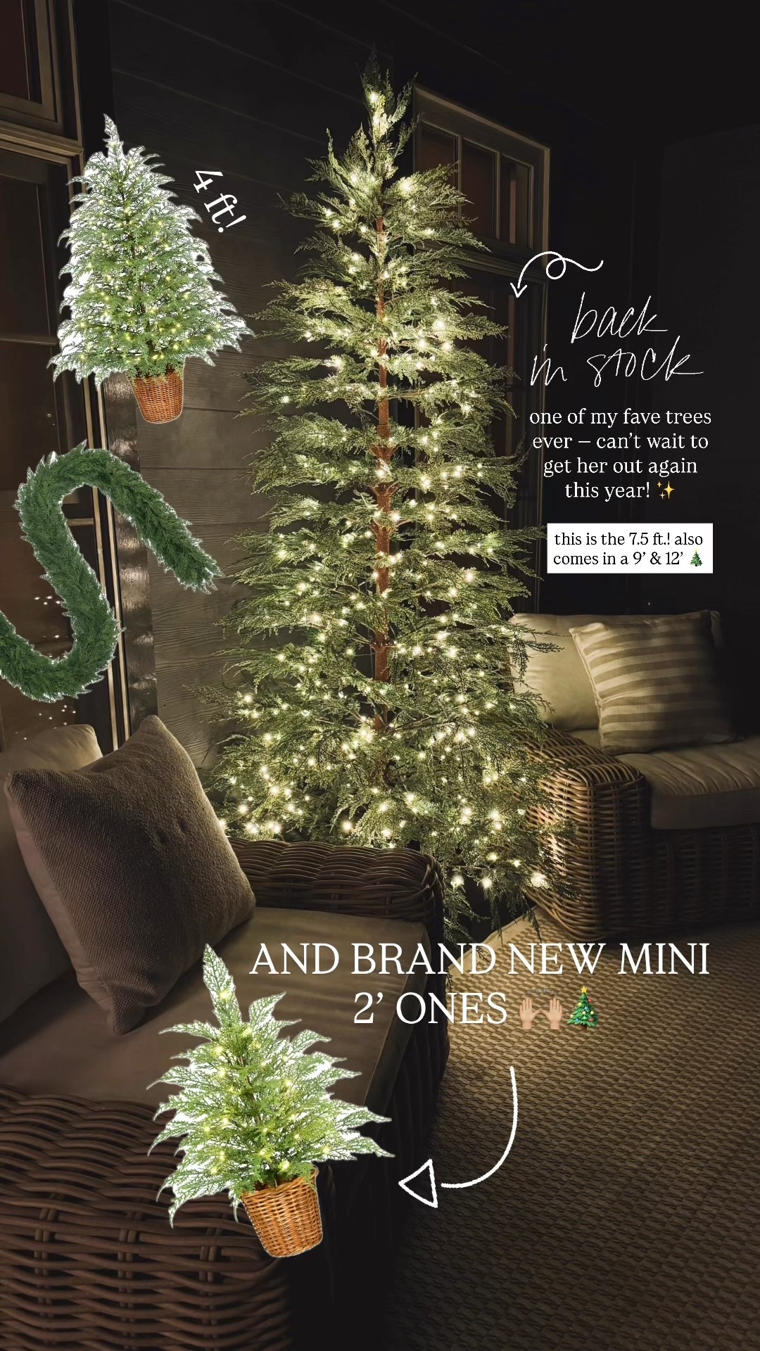 NEW 2’ WALMART x MTH TREES! These WILL SELL OUT FAST🙈👀✨🎄 & they’re SO GORGEOUS! I have the 7.5 ft. & just grabbed two of the 4 foot potted ones for the porch this year! Highly suggest 🙏🏼

Walmart / Christmas 2025 / my Texas house tree / Cypress / twinkle tree / home decor / cozy / Holley Gabrielle 

#LTKHome #LTKSeasonal #LTKStyleTip