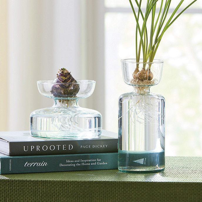 Canopy Bulb Vase Recycled Hand Blown Glass | Ballard Designs, Inc.